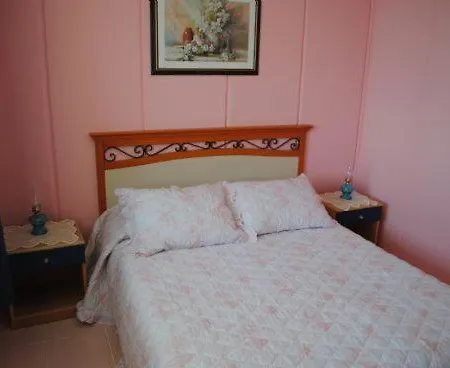 Zeytin * Isola di Marmara