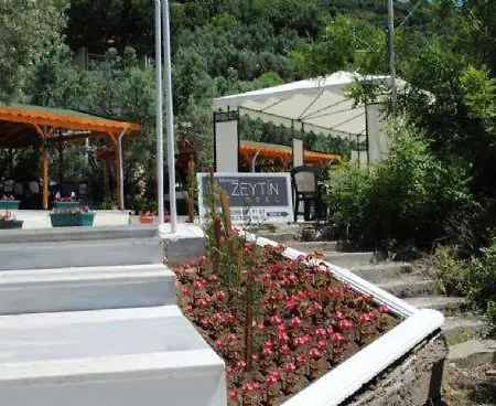 Hotel Zeytin *