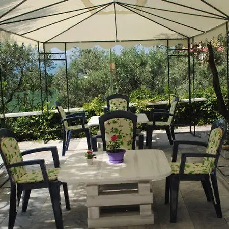 Zeytin *