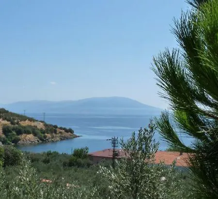 Hotel Zeytin