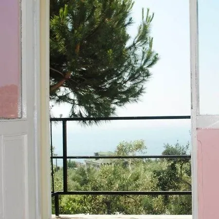 Zeytin * Isola di Marmara