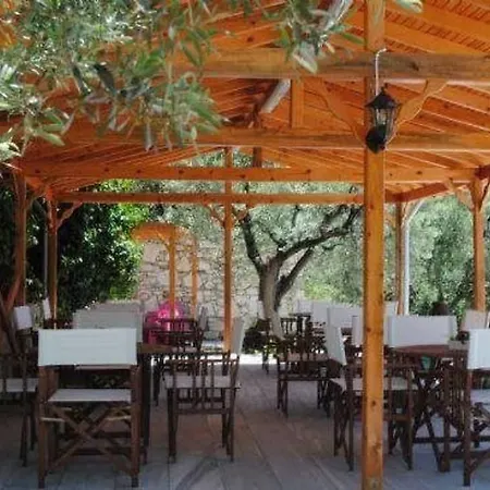 Zeytin *
